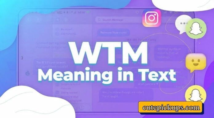 WTM Meaning in Text WTM Meaning in Text