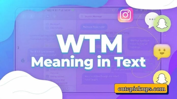 WTM Meaning in Text WTM Meaning in Text