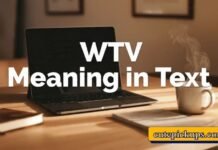 WTV Meaning in Text WTV Meaning in Text
