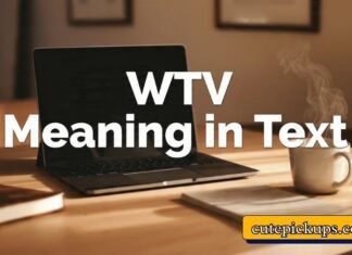 WTV Meaning in Text WTV Meaning in Text