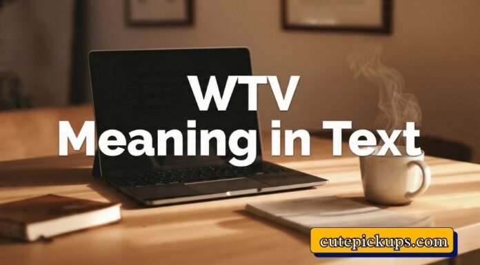 WTV Meaning in Text WTV Meaning in Text