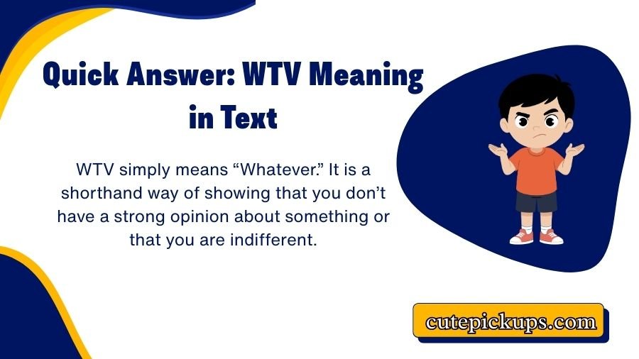 WTV Meaning in Text
