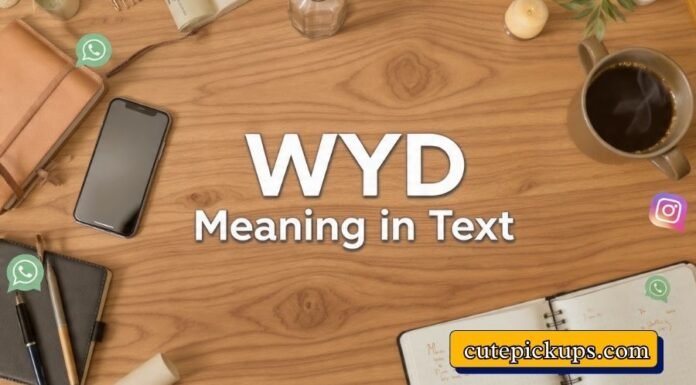 WYD Meaning in Text WYD Meaning in Text