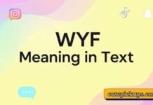 WYF Meaning in Text WYF Meaning in Text