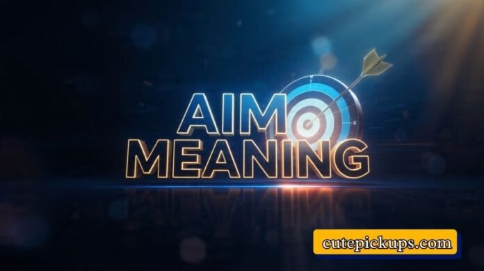 Aim Meaning