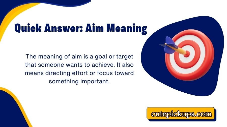 Aim Meaning