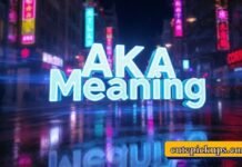 AKA Meaning AKA Meaning