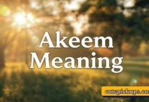 Akeem Meaning Akeem Meaning