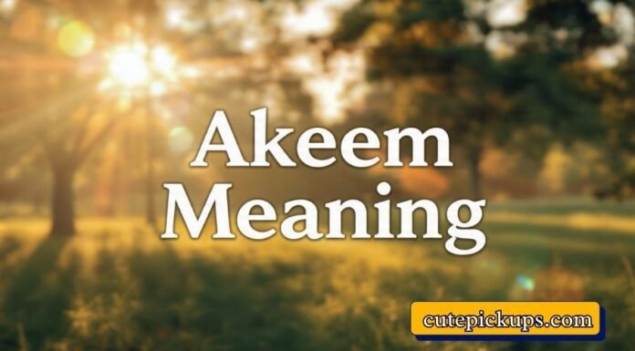 Akeem Meaning Akeem Meaning