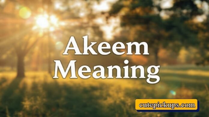 Akeem Meaning
