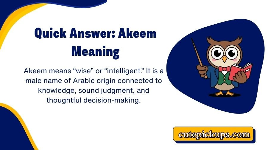 Akeem Meaning