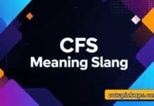 CFS Meaning Slang CFS Meaning Slang