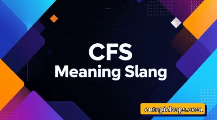 CFS Meaning Slang CFS Meaning Slang