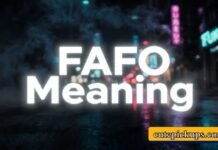 FAFO Meaning FAFO Meaning