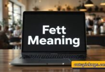Fett Meaning Fett Meaning