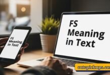 FS Meaning in Text FS Meaning in Text
