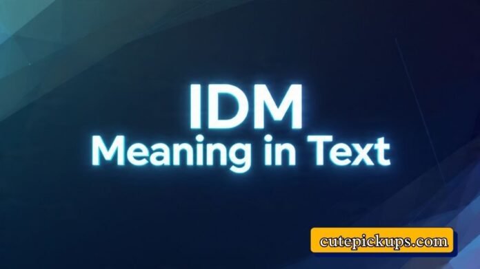 IDM Meaning in Text
