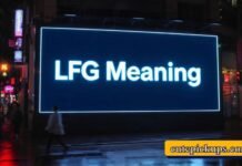 LFG Meaning LFG Meaning