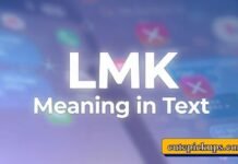 LMK Meaning in Text LMK Meaning in Text