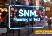 SNM Meaning in Text SNM Meaning in Text