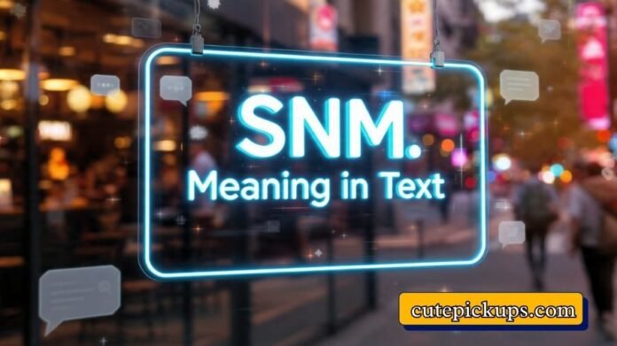 SNM Meaning in Text