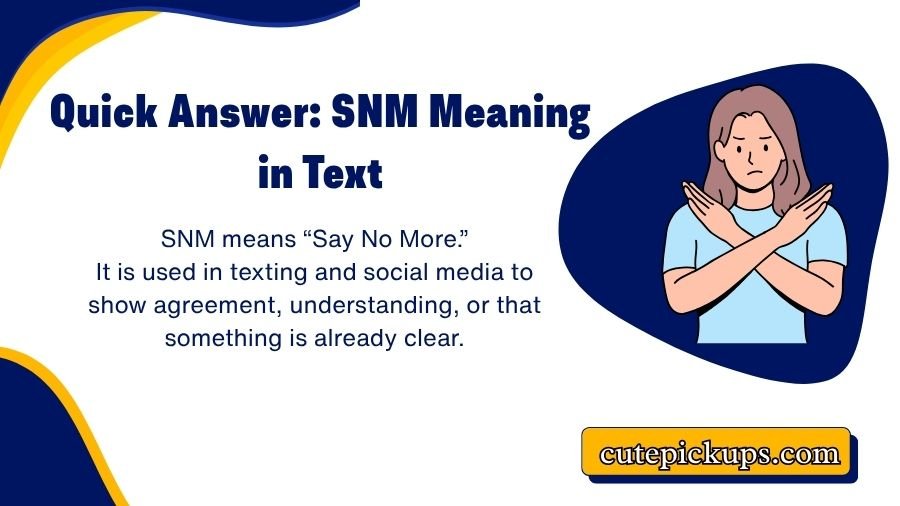 SNM Meaning in Text