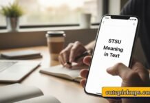 STSU Meaning in Text STSU Meaning in Text