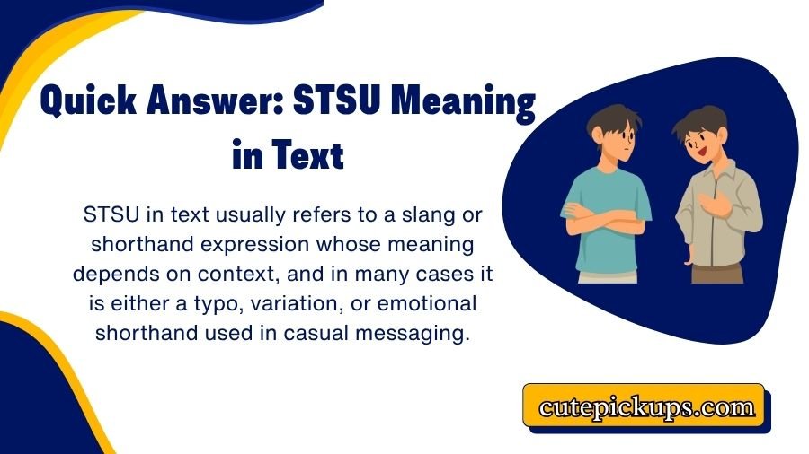 STSU Meaning in Text