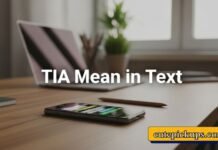 TIA Mean in Text TIA Mean in Text