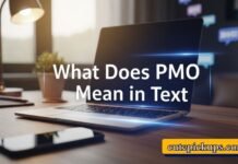 What Does PMO Mean in Text What Does PMO Mean in Text