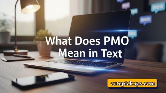 What Does PMO Mean in Text