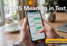 WTMS Meaning in Text WTMS Meaning in Text