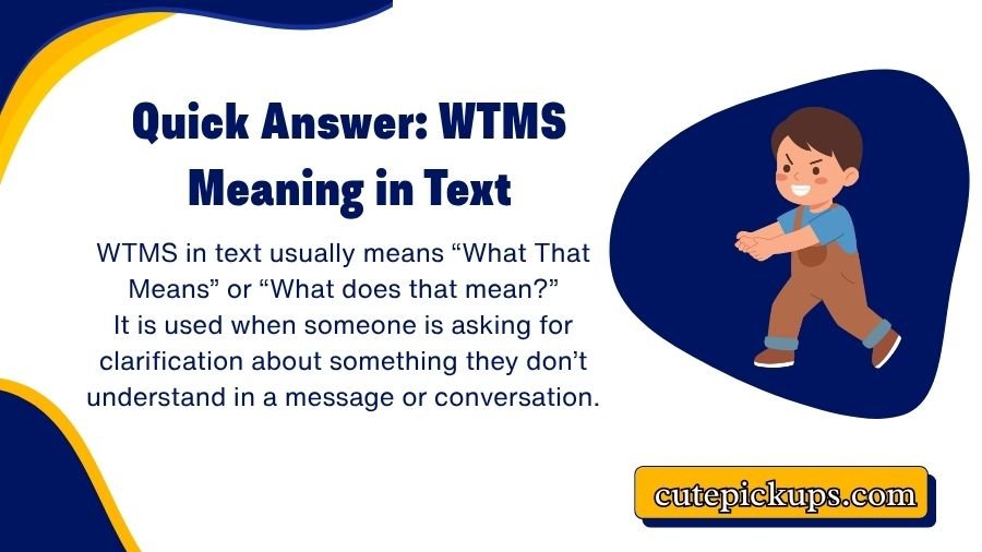 WTMS Meaning in Text